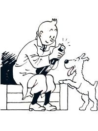 Tintin i Milou