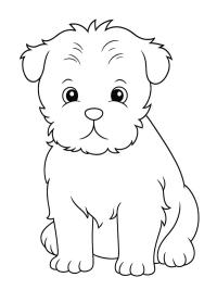 Pinczer małpi