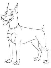 Doberman