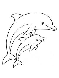 Delfin z małym delfinkiem