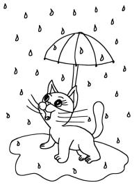 Kotek w deszczu