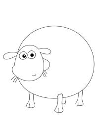 Shirley (Baranek Shaun)