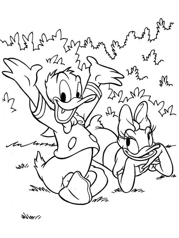 Kaczor Donald i Kaczka Daisy kolorowanka