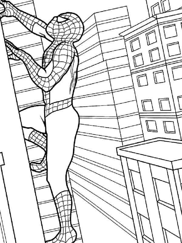 Spiderman wspina się na budynek kolorowanka