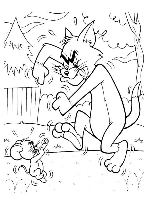 Tom I Jerry walczą kolorowanka